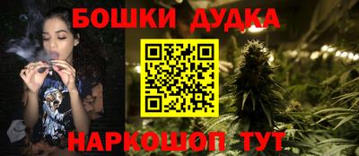 индика Заводоуковск