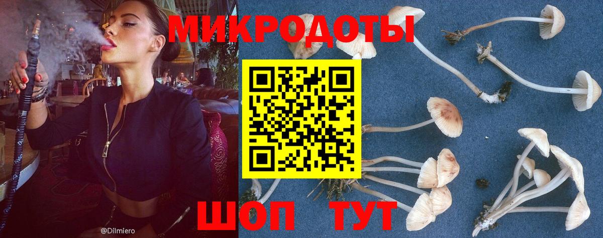Галлюциногенные грибы Magic Shrooms  Вход с VPN  Надым 